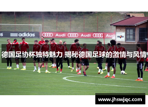 德国足协杯独特魅力 揭秘德国足球的激情与风情